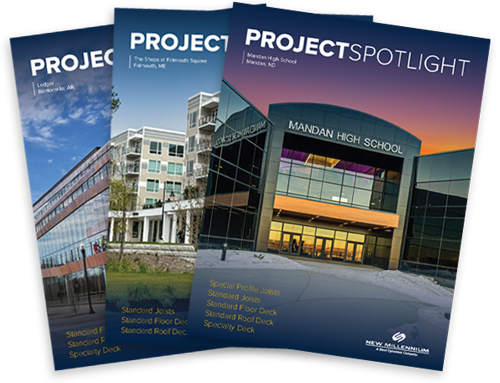 New Millennium Project Spotlights